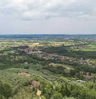Foto annuncio 43