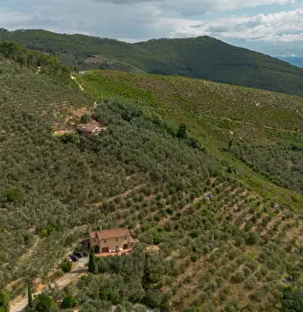 Foto annuncio 3