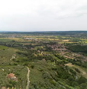 Foto annuncio 44
