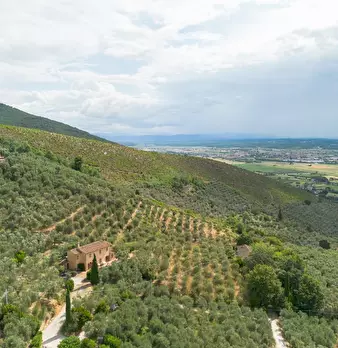 Foto annuncio 4