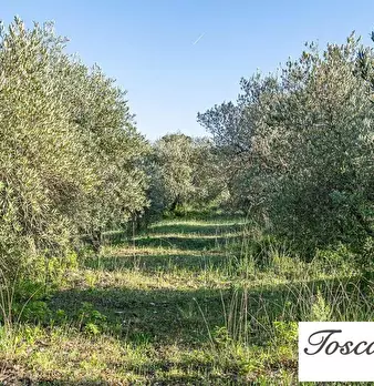 Foto annuncio 48