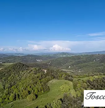 Foto annuncio 51