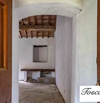Foto annuncio 41