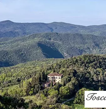 Foto annuncio 50