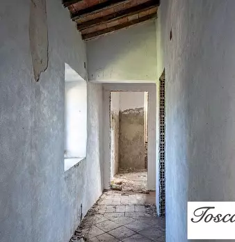Foto annuncio 43