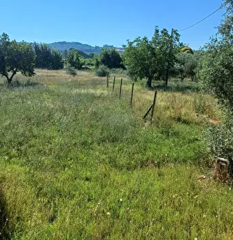 Foto annuncio 23