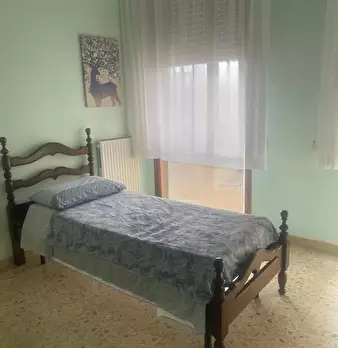 Foto annuncio 12