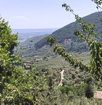 Foto annuncio 39