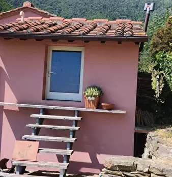 Foto annuncio 35