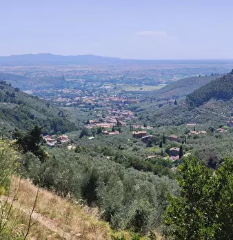 Foto annuncio 40