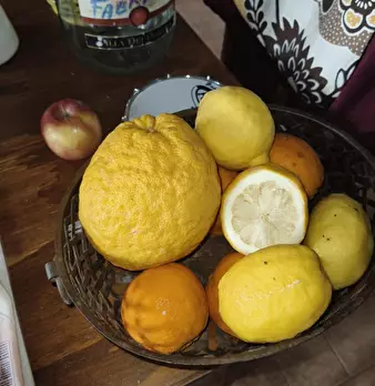 Foto annuncio 43
