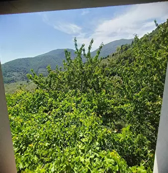 Foto annuncio 25
