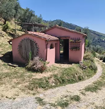 Foto annuncio 33