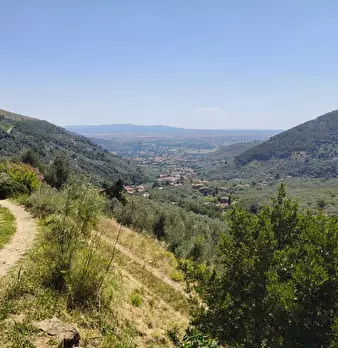 Foto annuncio 36