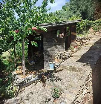 Foto annuncio 37