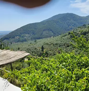 Foto annuncio 38