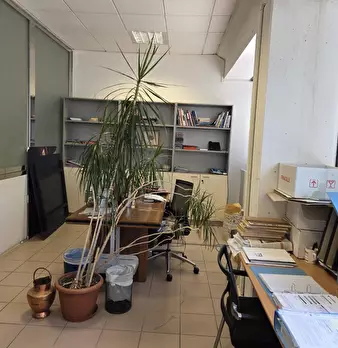 Foto annuncio 5