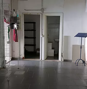 Foto annuncio 9