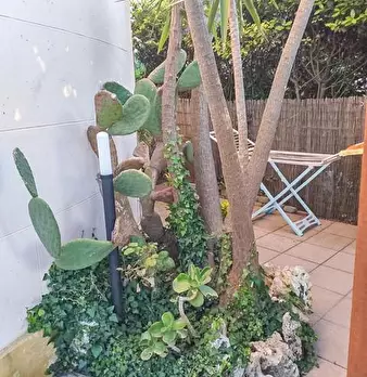 Foto annuncio 40
