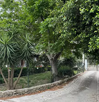 Foto annuncio 17