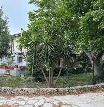 Foto annuncio 6