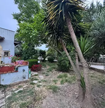 Foto annuncio 9
