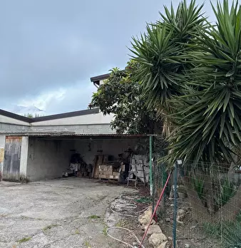 Foto annuncio 10