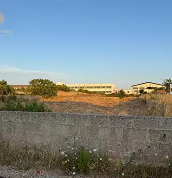 Foto annuncio 2