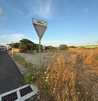 Foto annuncio 10