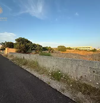 Foto annuncio 4