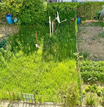 Foto annuncio 46
