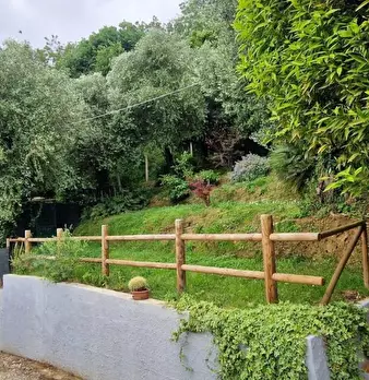 Foto annuncio 16
