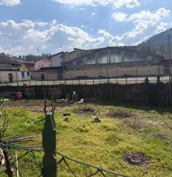 Foto annuncio 14