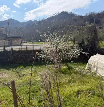 Foto annuncio 16