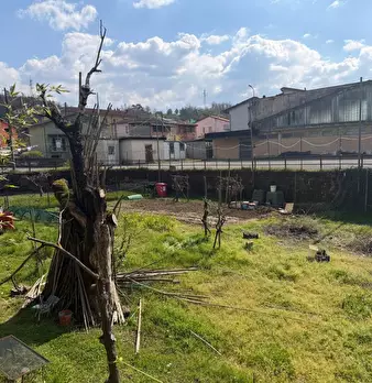Foto annuncio 17