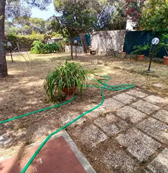 Foto annuncio 3