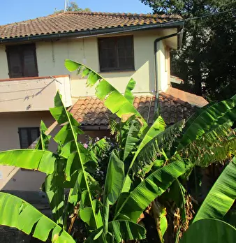 Foto annuncio 5