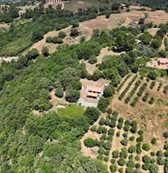 Foto annuncio 5