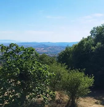 Foto annuncio 10