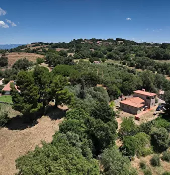 Foto annuncio 3