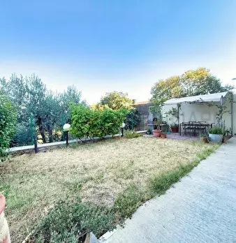 Foto annuncio 73