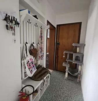 Foto annuncio 7
