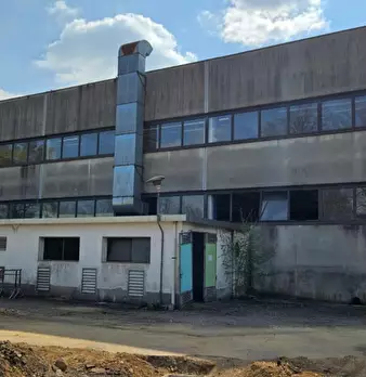 Foto annuncio 3