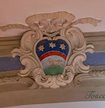 Foto annuncio 31