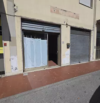 Foto annuncio 10