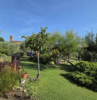 Foto annuncio 42