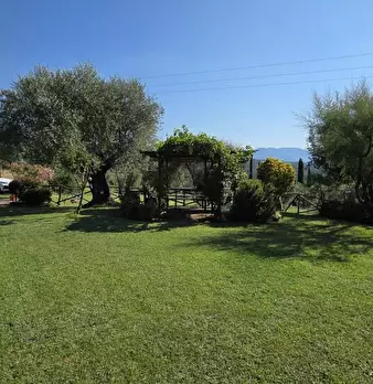 Foto annuncio 40