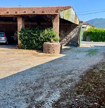 Foto annuncio 9