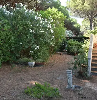 Foto annuncio 4