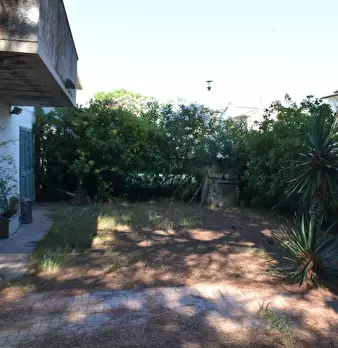 Foto annuncio 8